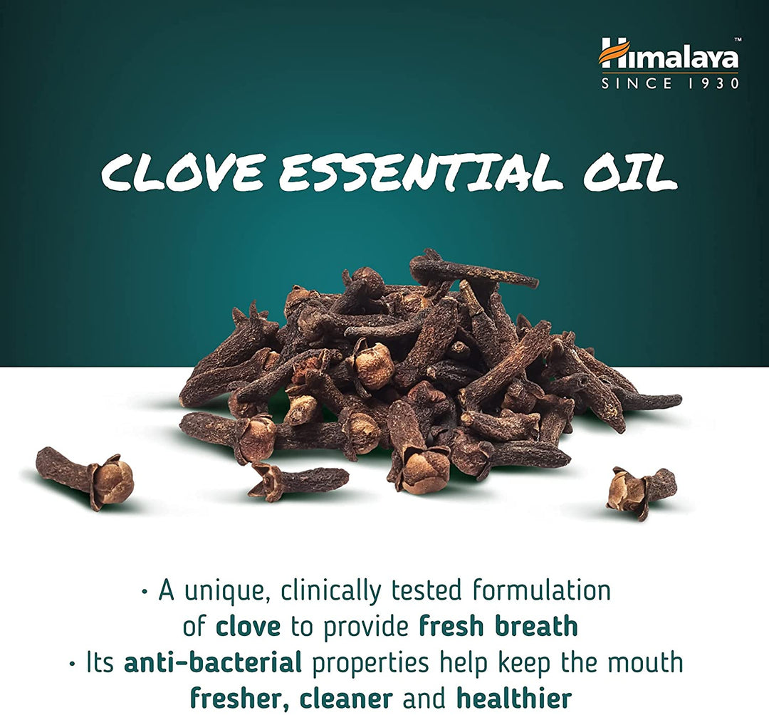 Himalaya Ayurvedic Dental Cream Herbal Toothpaste Clove - Clove Essential Oil
