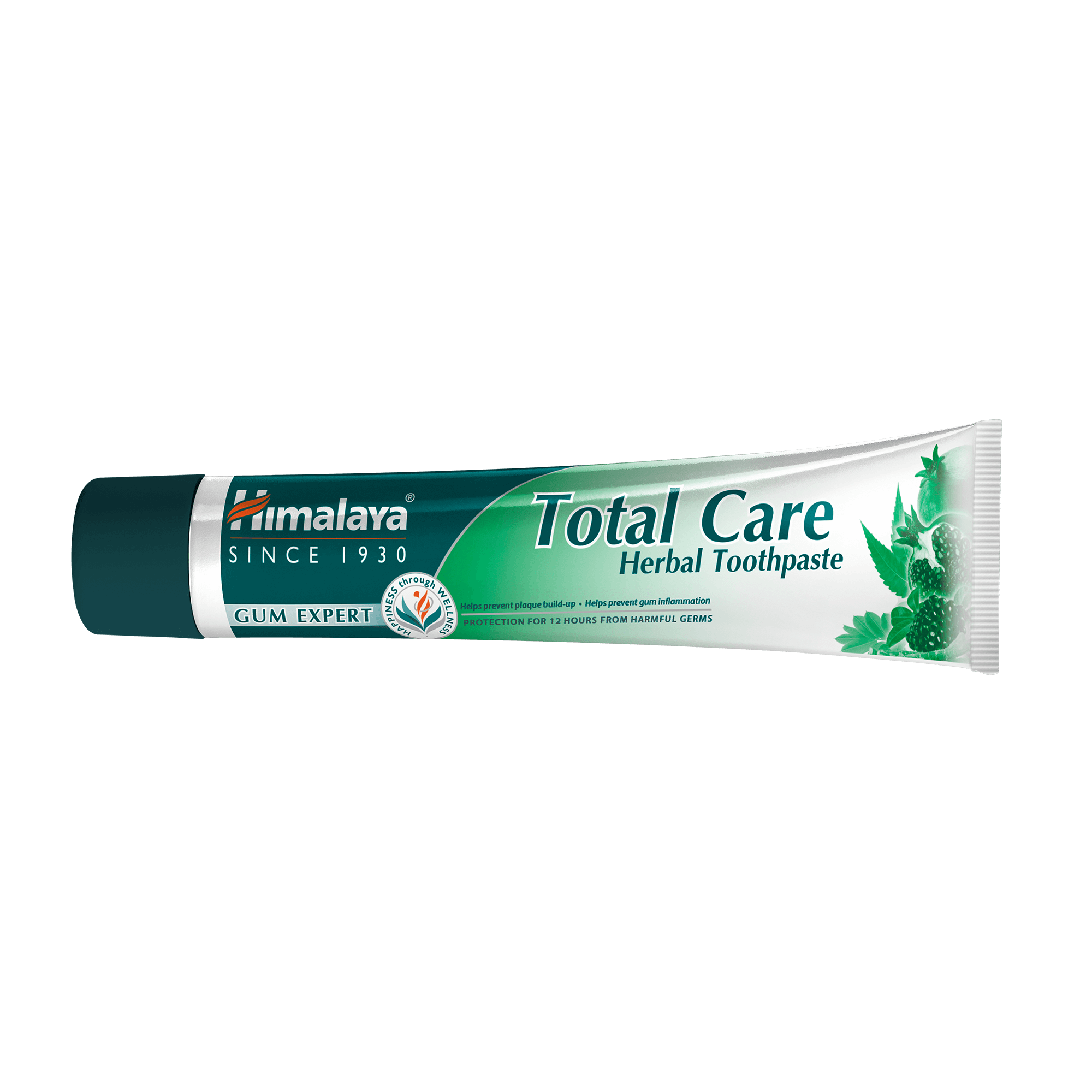 Himalaya Total Care Herbal Toothpaste Tube