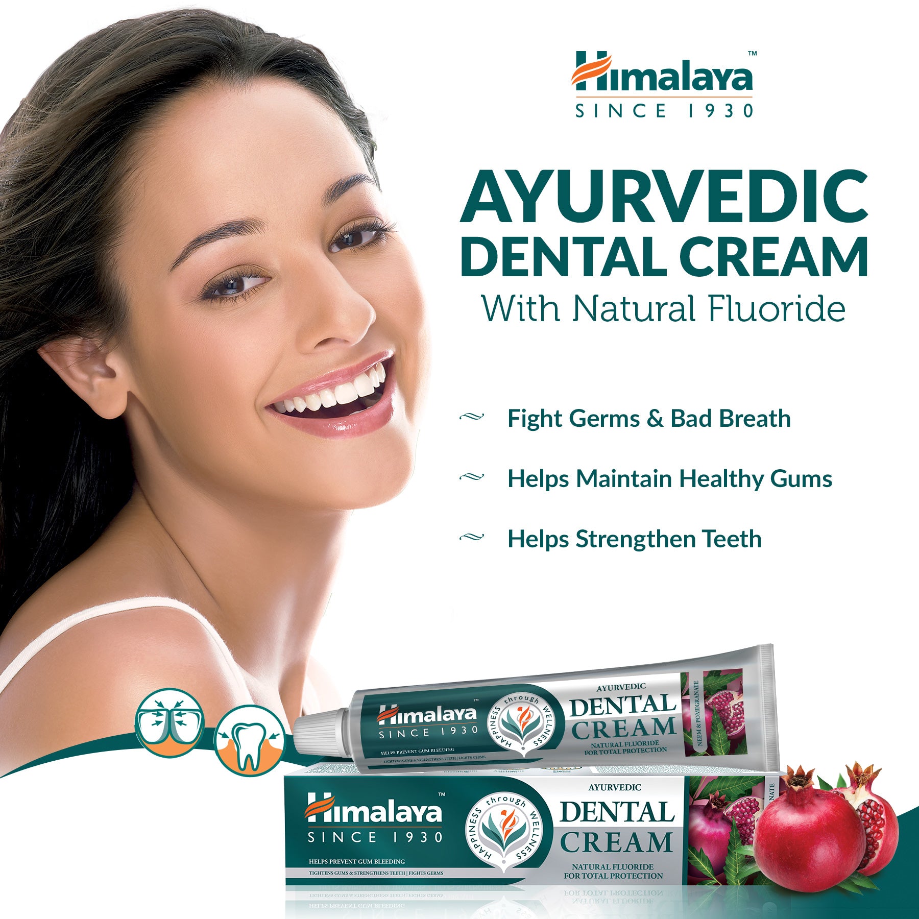 Himalaya Ayurvedic Dental Cream Herbal Toothpaste - Neem & Pomegranate - 100 g (Pack of 2)