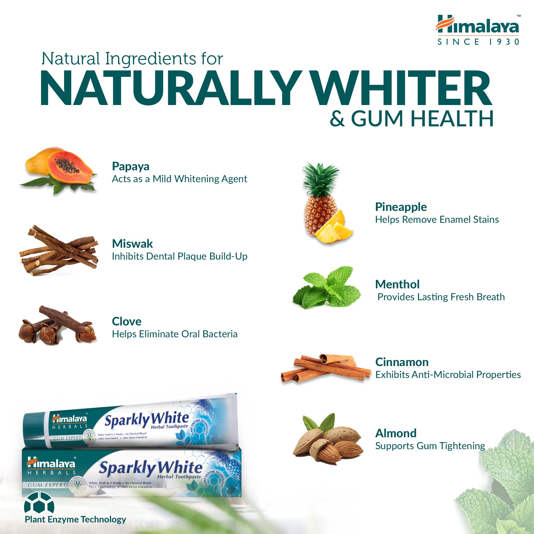 Himalaya Gum Expert Herbal Toothpaste - Sparkly White - 75ml (Pack of 2)