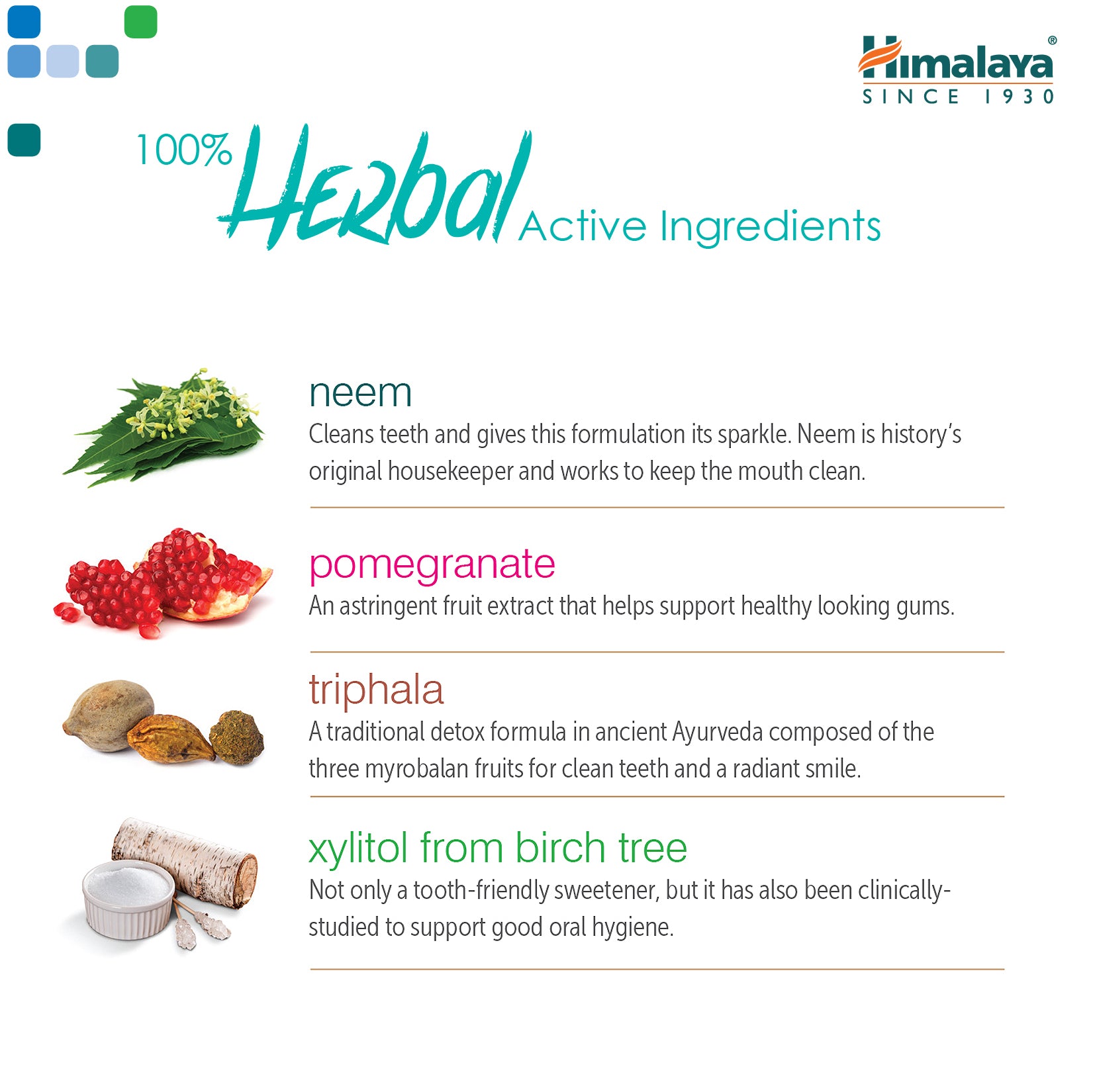 Himalaya BOTANIQUE Complete Care Toothpaste - Simply