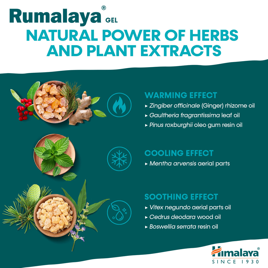 Himalaya Rumalaya gel - 50g