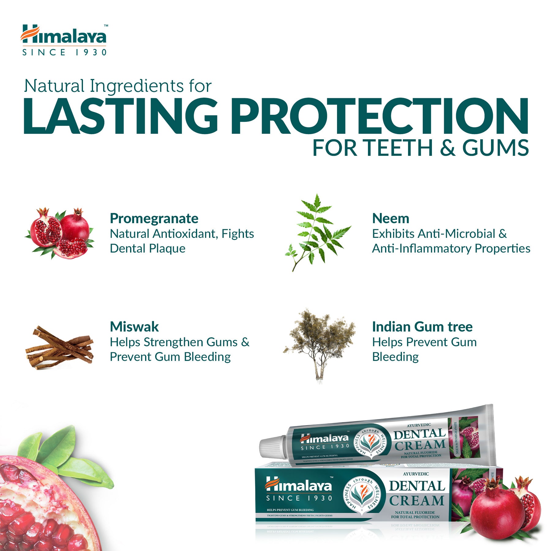 Himalaya Ayurvedic Dental Cream Herbal Toothpaste - Neem & Pomegranate - 100 g