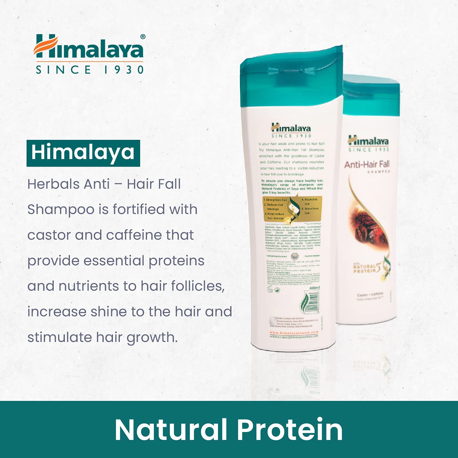 Himalaya Anti-Hair Fall Shampoo - 400 ml (Pack of 2)
