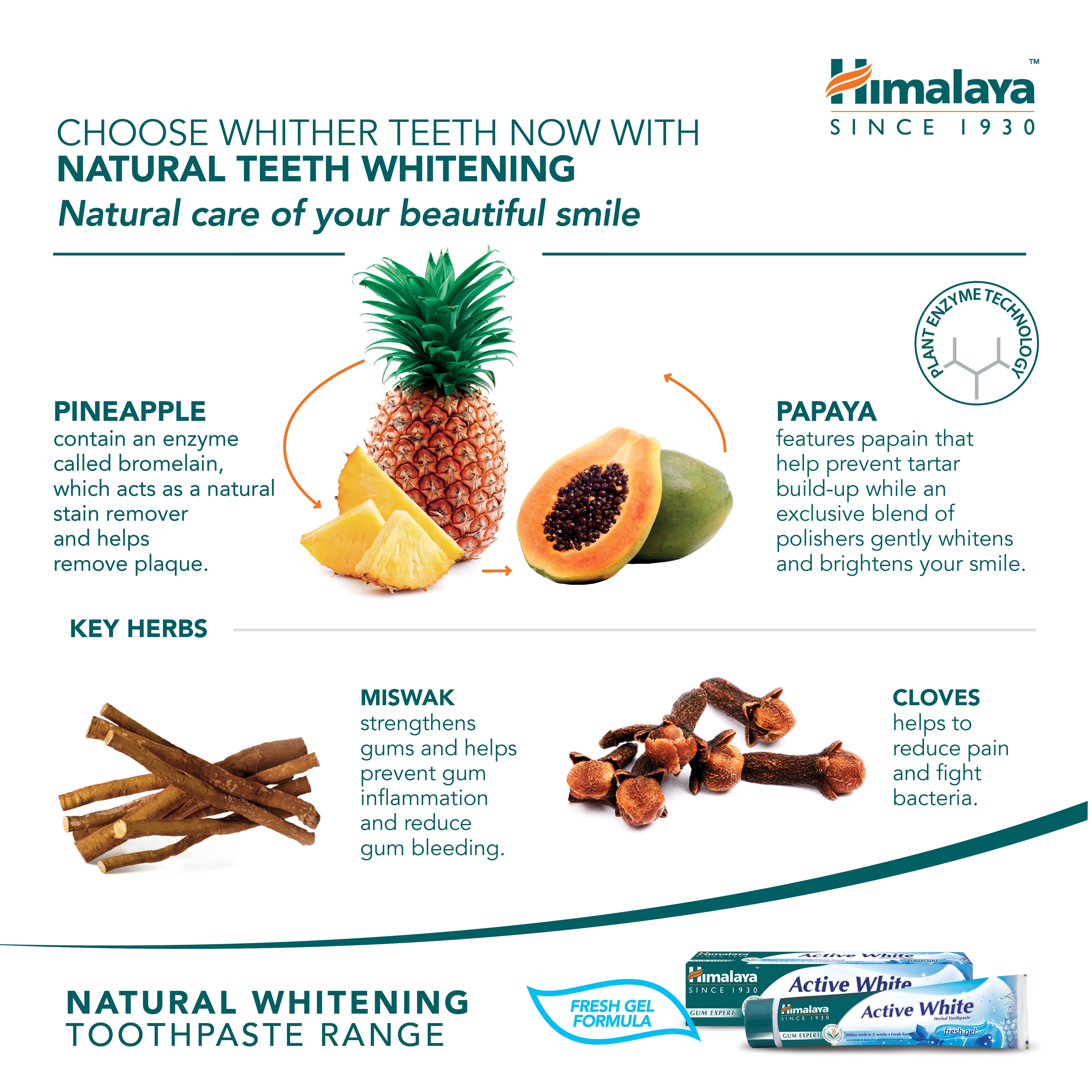 Himalaya Gum Expert Herbal Toothpaste - Active White Fresh Gel - 75ml (Pack of 3)