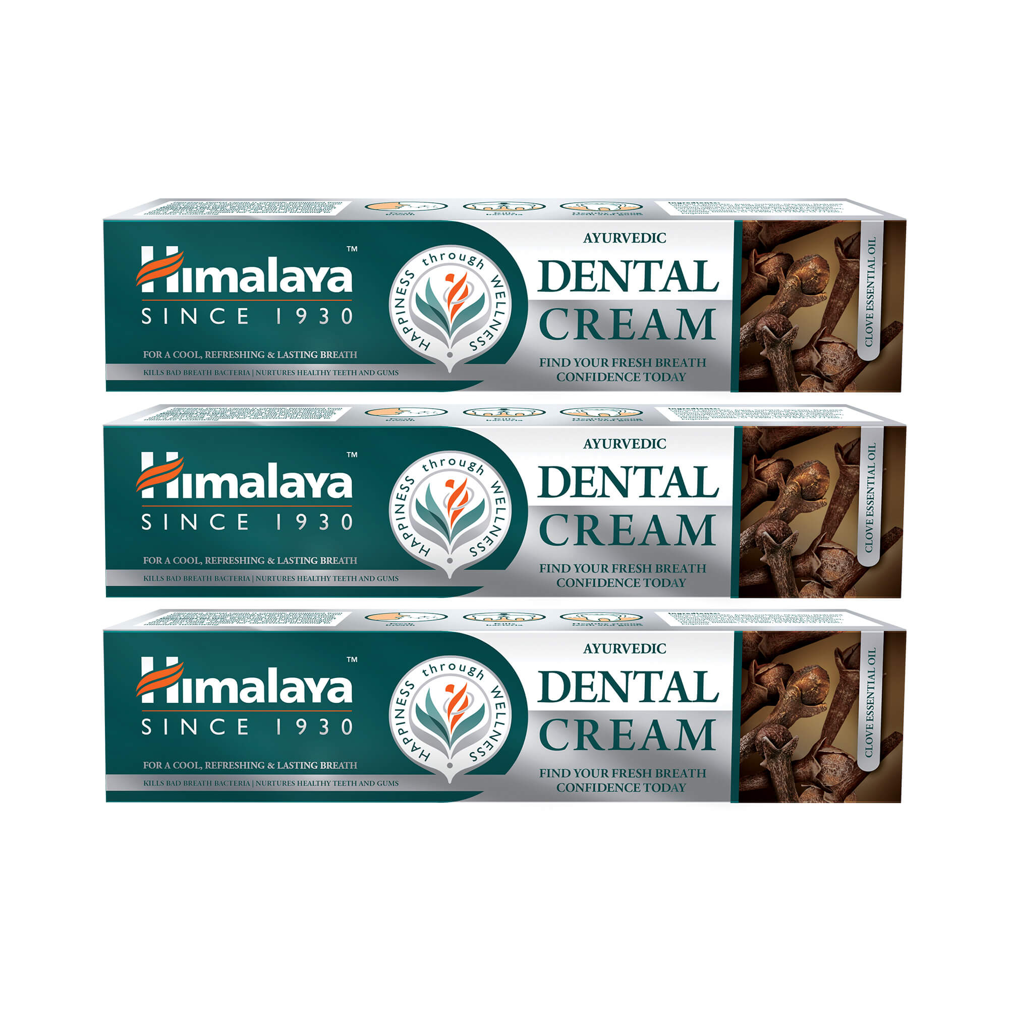 Himalaya Ayurvedic Dental Cream Herbal Toothpaste - Clove - 100 g (Pack of 3)