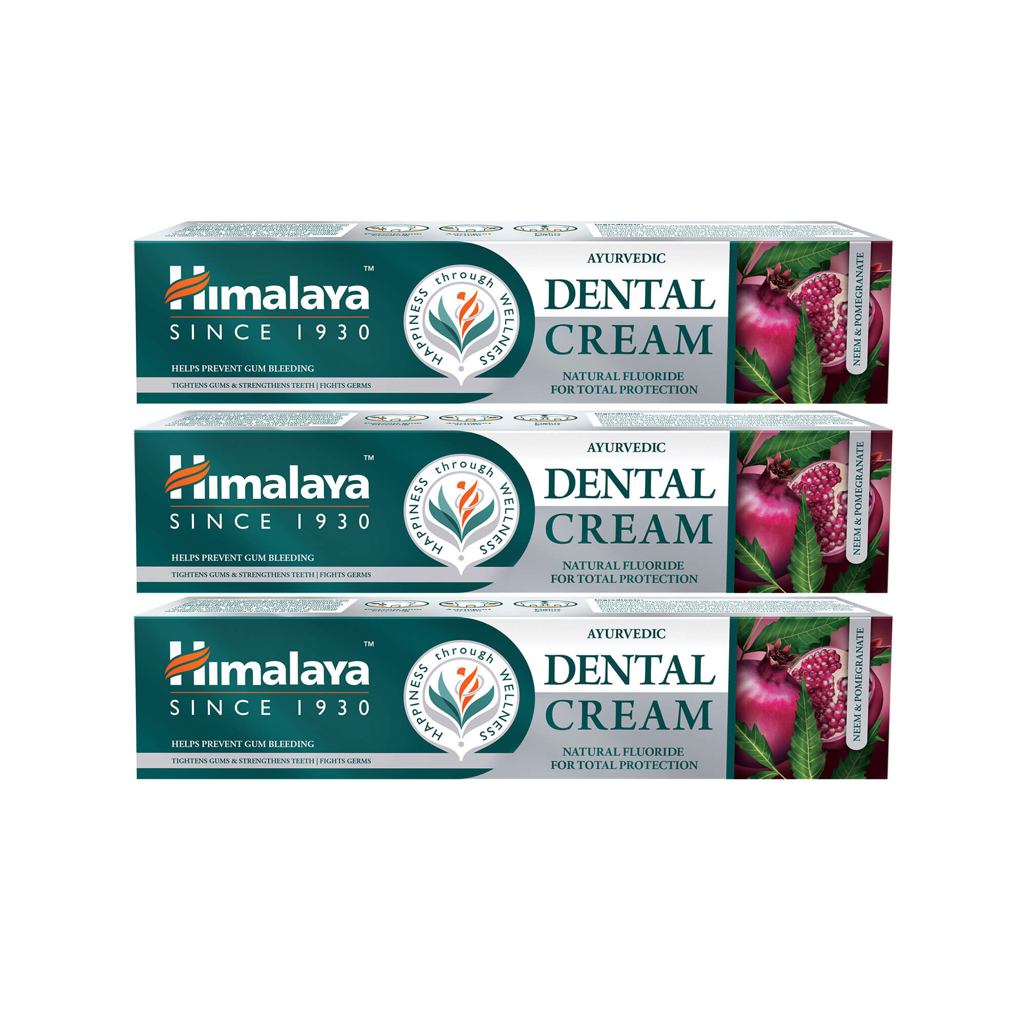 Himalaya Ayurvedic Dental Cream Herbal Toothpaste - Neem & Pomegranate - 100 g (Pack of 3)