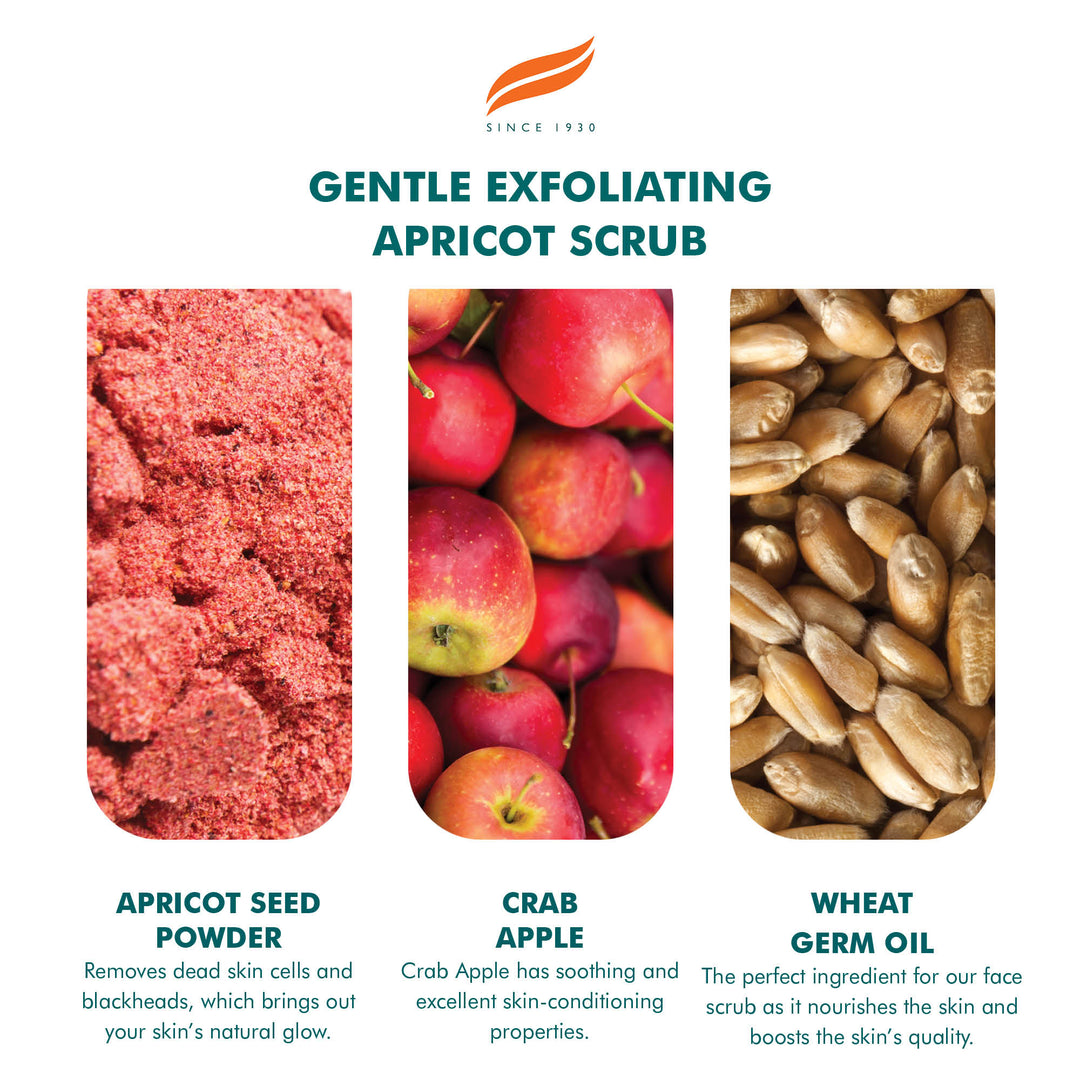 Himalaya Gentle Exfoliating Apricot Scrub - 75ml