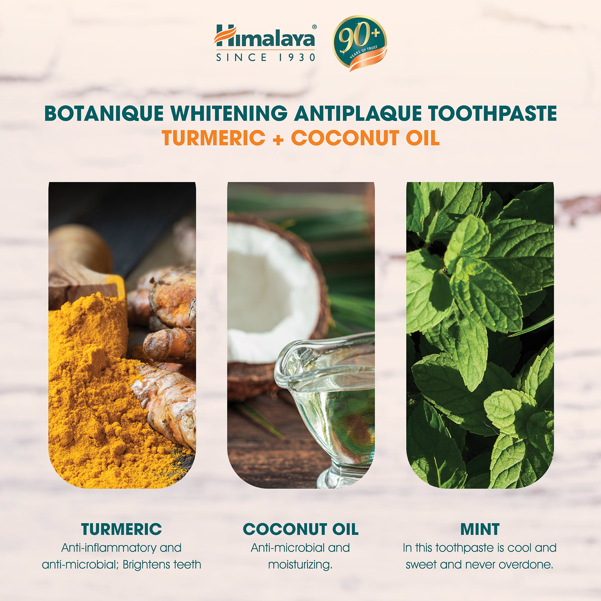 Himalaya Botanique Whitening Antiplaque Toothpaste Turmeric + Coconut Oil 113G