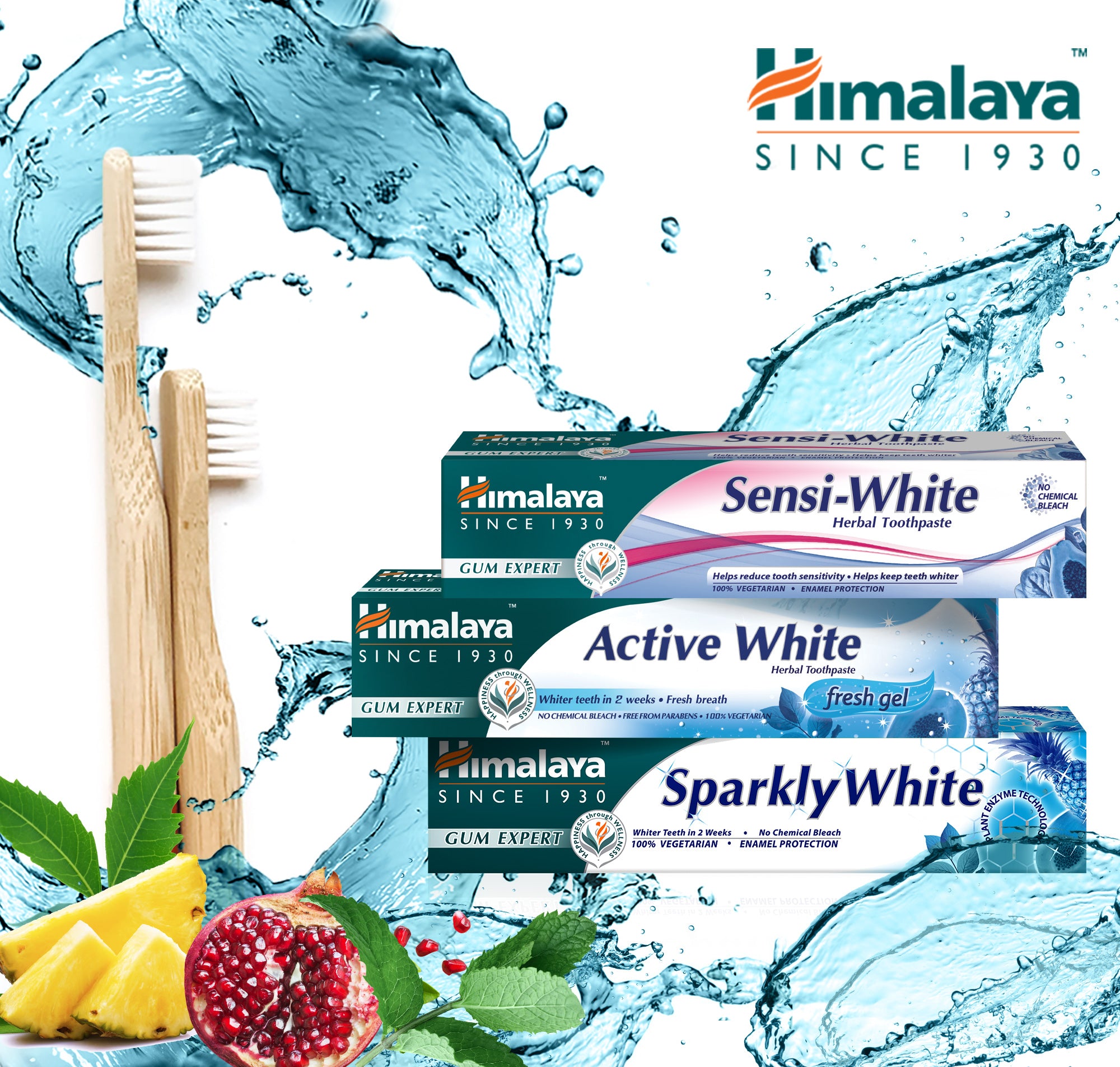 Himalaya Gum Expert Herbal Toothpaste - Active White Fresh Gel - 75ml (Pack of 3)