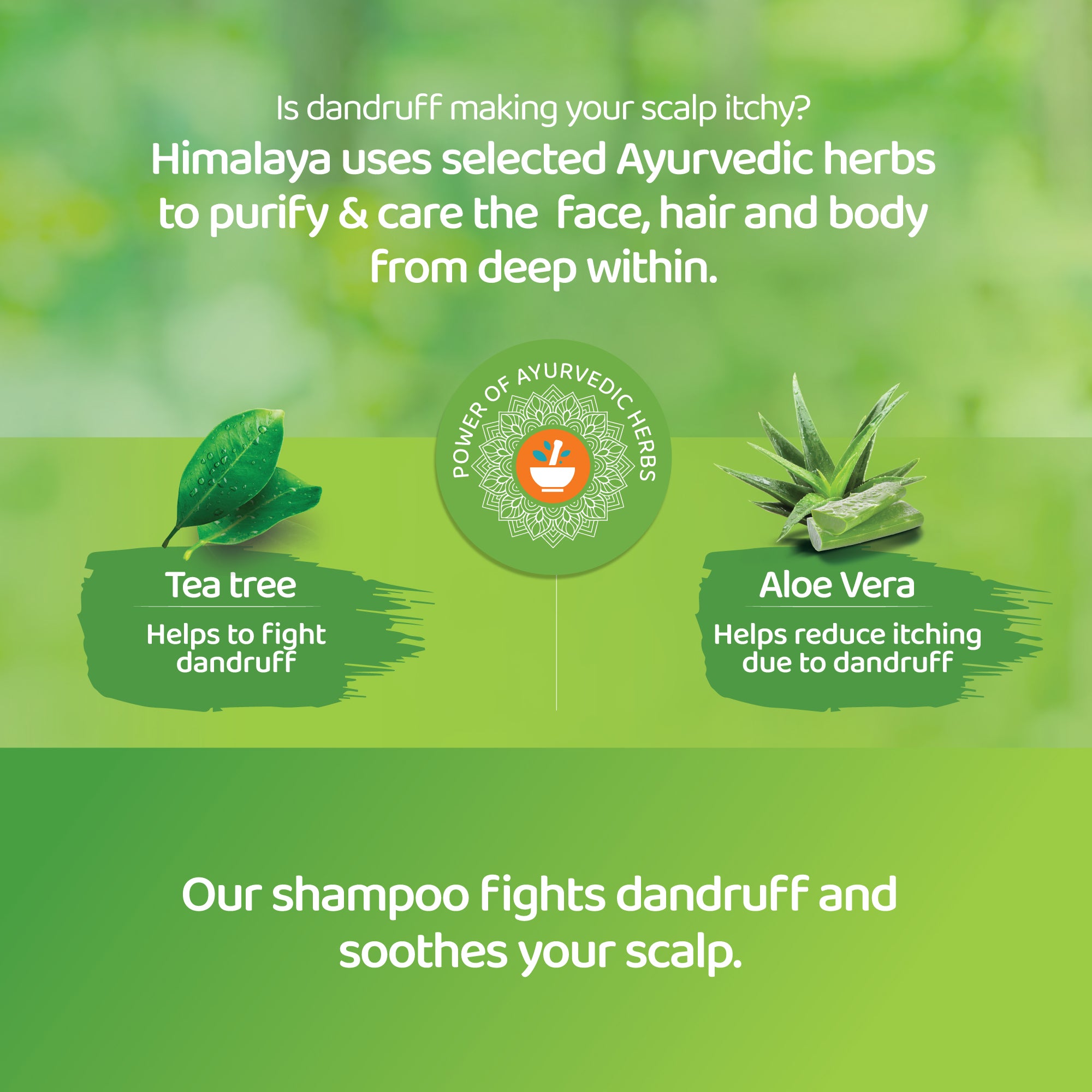Himalaya Anti-Dandruff Shampoo - Soothing & Moisturizing - 400 ml