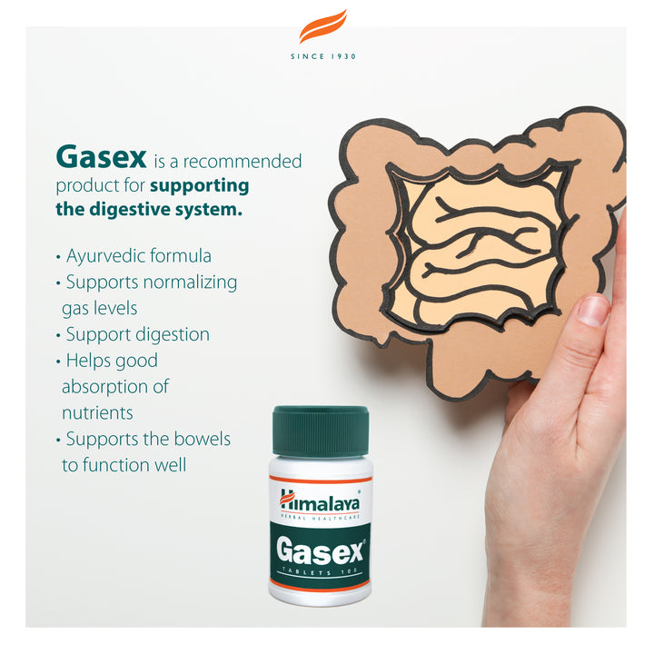 Himalaya Gasex - 100 Tablets