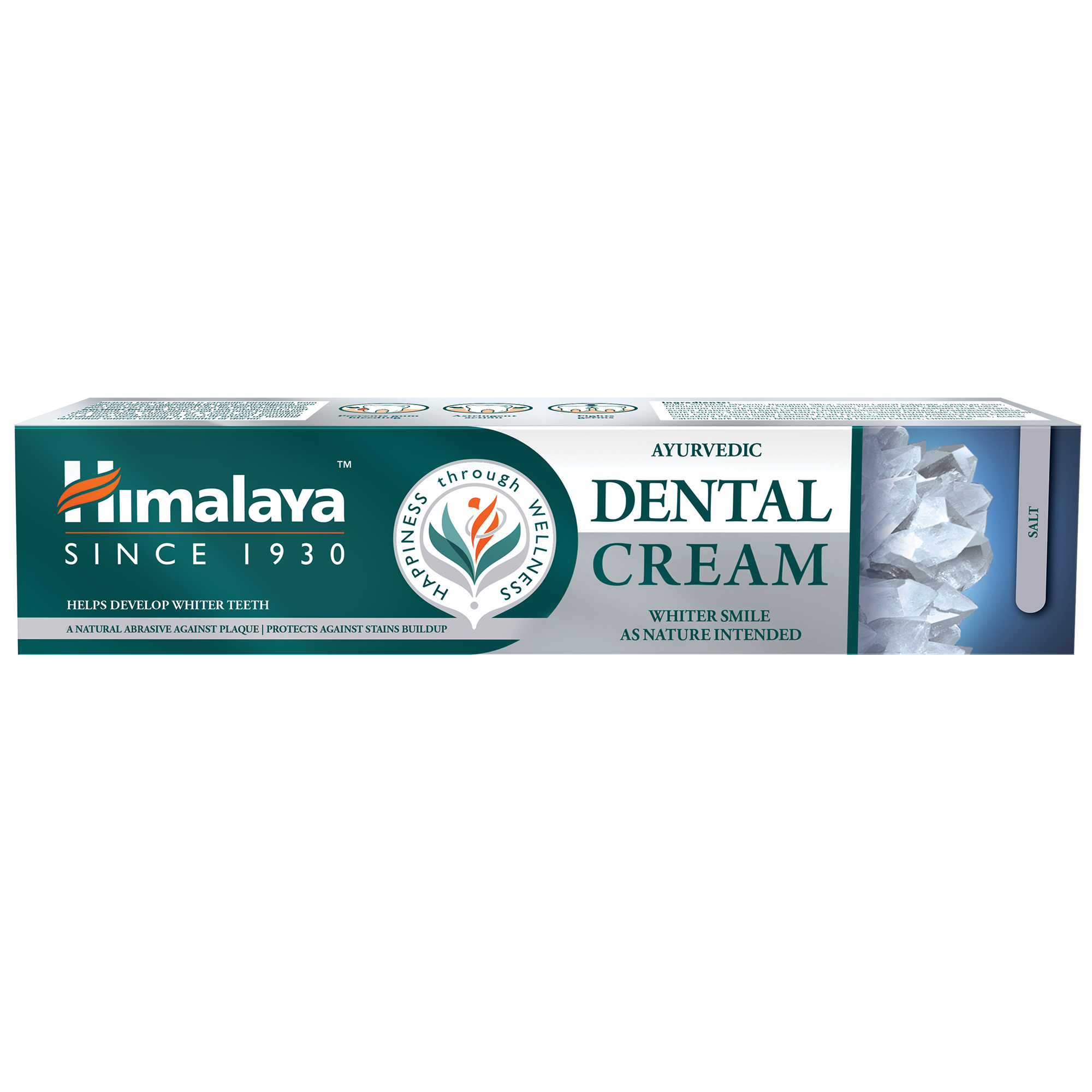 Himalaya Ayurvedic Dental Cream Herbal Toothpaste - Salt - 100g