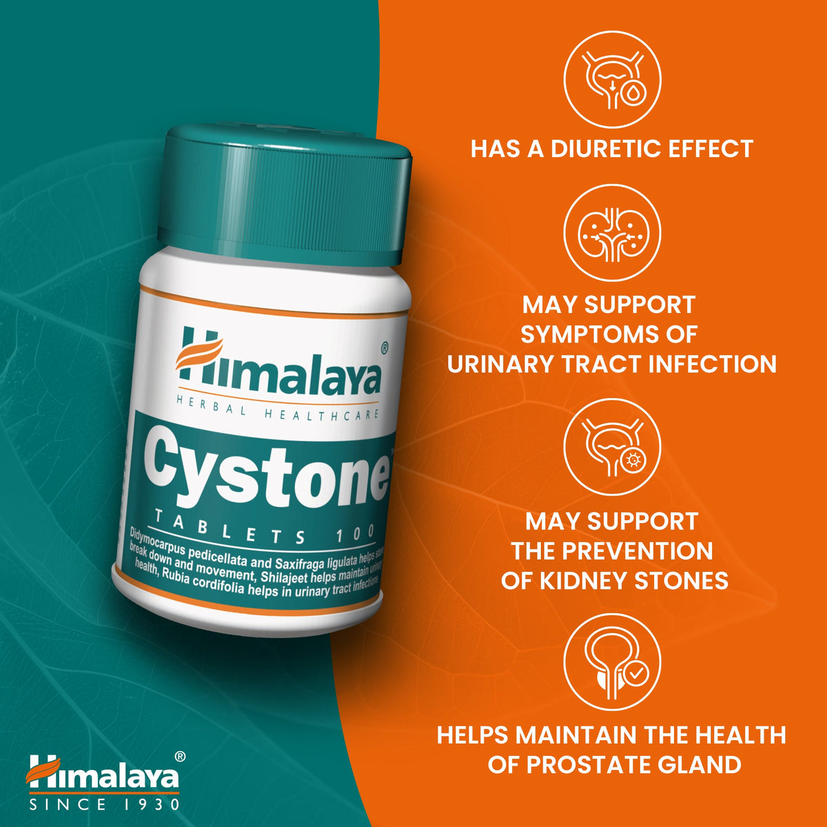 Himalaya Cystone Tablets for Urinary & Kidney Support | Herbal ...