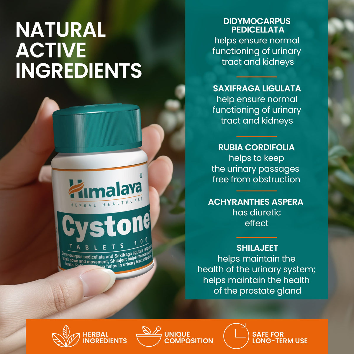 Himalaya Cystone Tablets for Urinary & Kidney Support | Herbal ...
