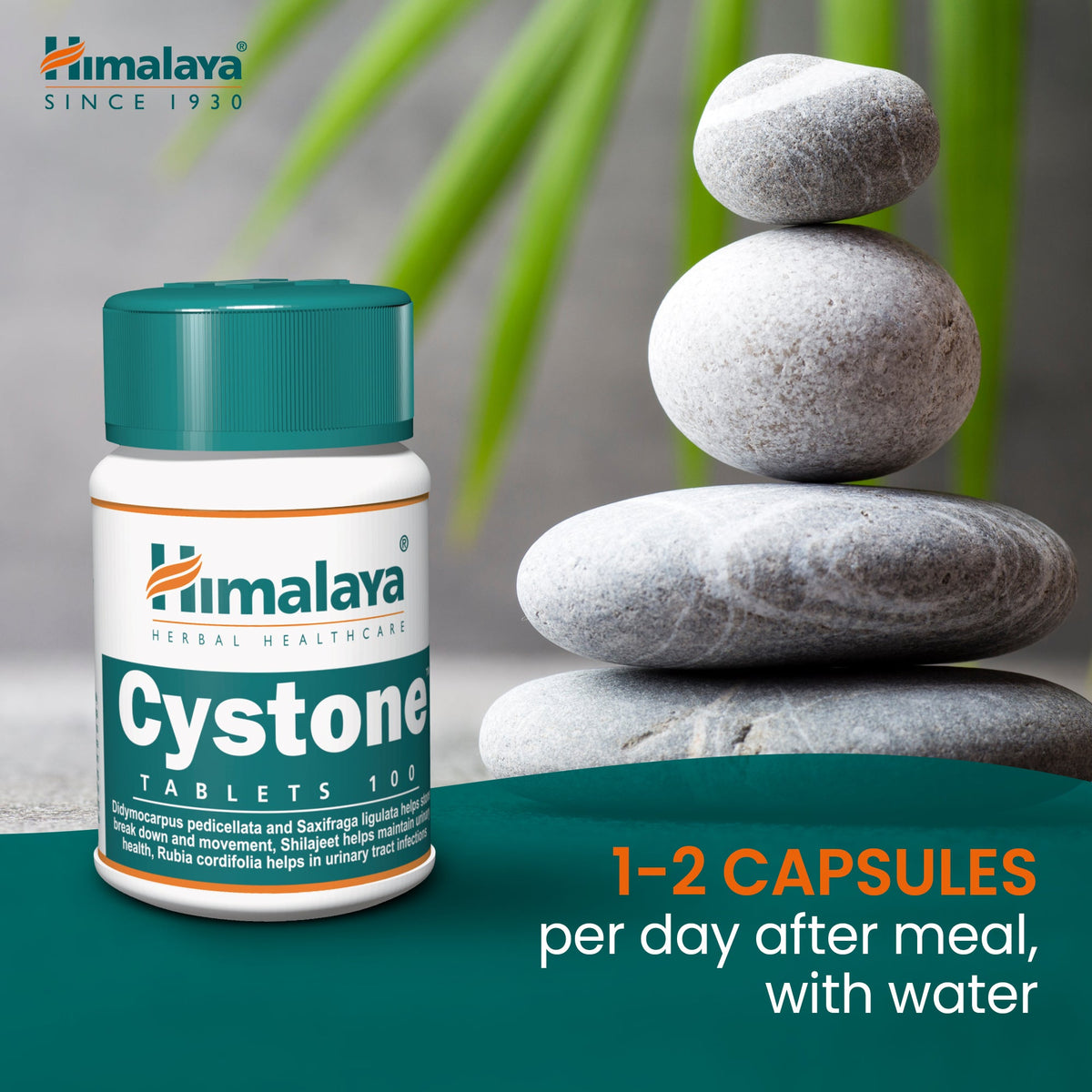 Himalaya Cystone Tablets for Urinary & Kidney Support | Herbal ...