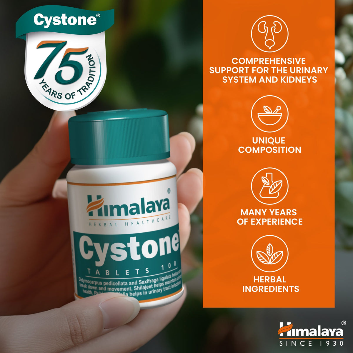 Himalaya Cystone Tablets for Urinary & Kidney Support | Herbal ...