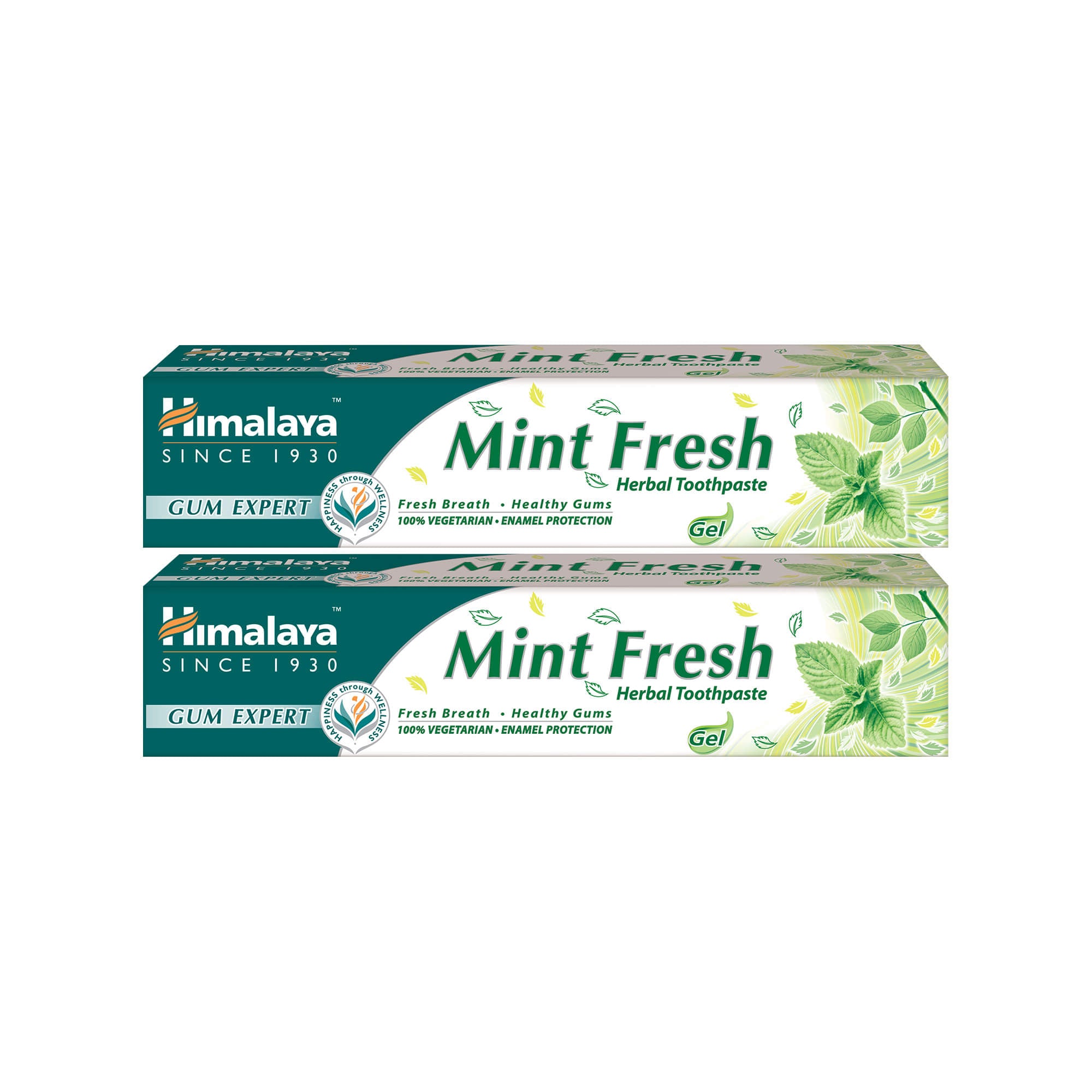 Himalaya Gum Expert Herbal Toothpaste - Mint Fresh - 75ml (Pack of 2)