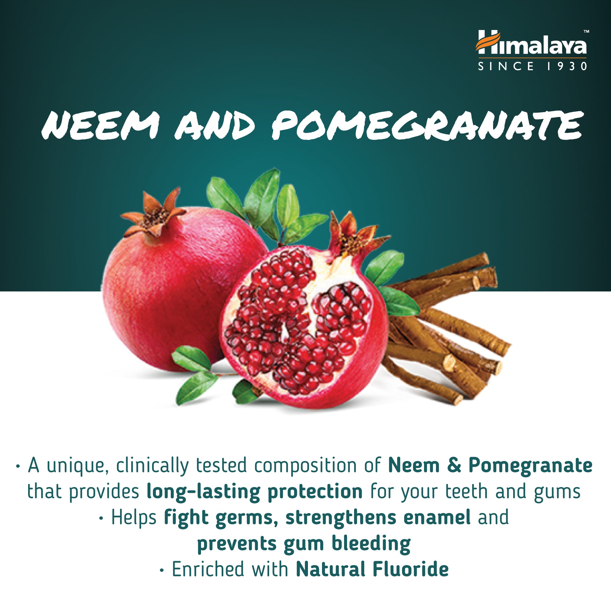 Himalaya Ayurvedic Dental Cream Herbal Toothpaste - Neem & Pomegranate - 100 g