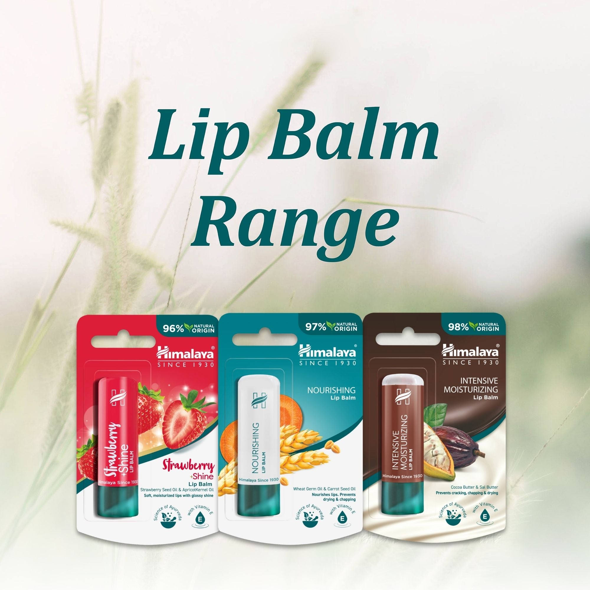 Himalaya Intensive Moisturizing Cocoa Butter Lip Balm - 4.5 g (Pack of 3)