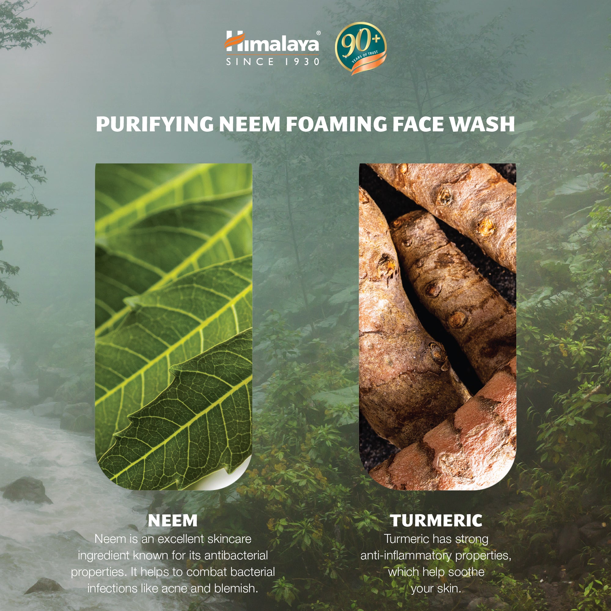 Himalaya Purifying Neem Foaming Face Wash - 150ml (Pack of 2)