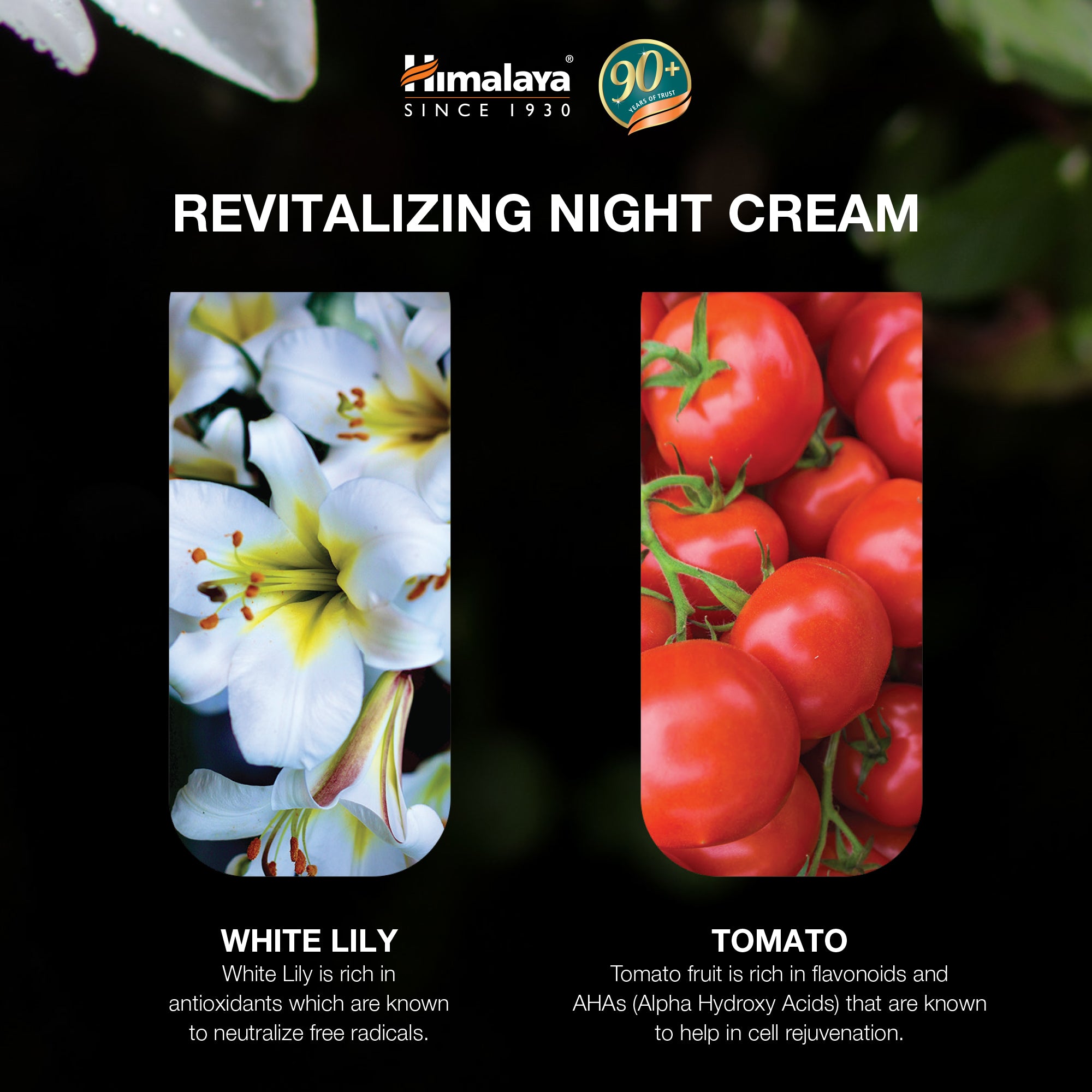 Himalaya Revitalizing Night Cream - 50g (Pack of 2)