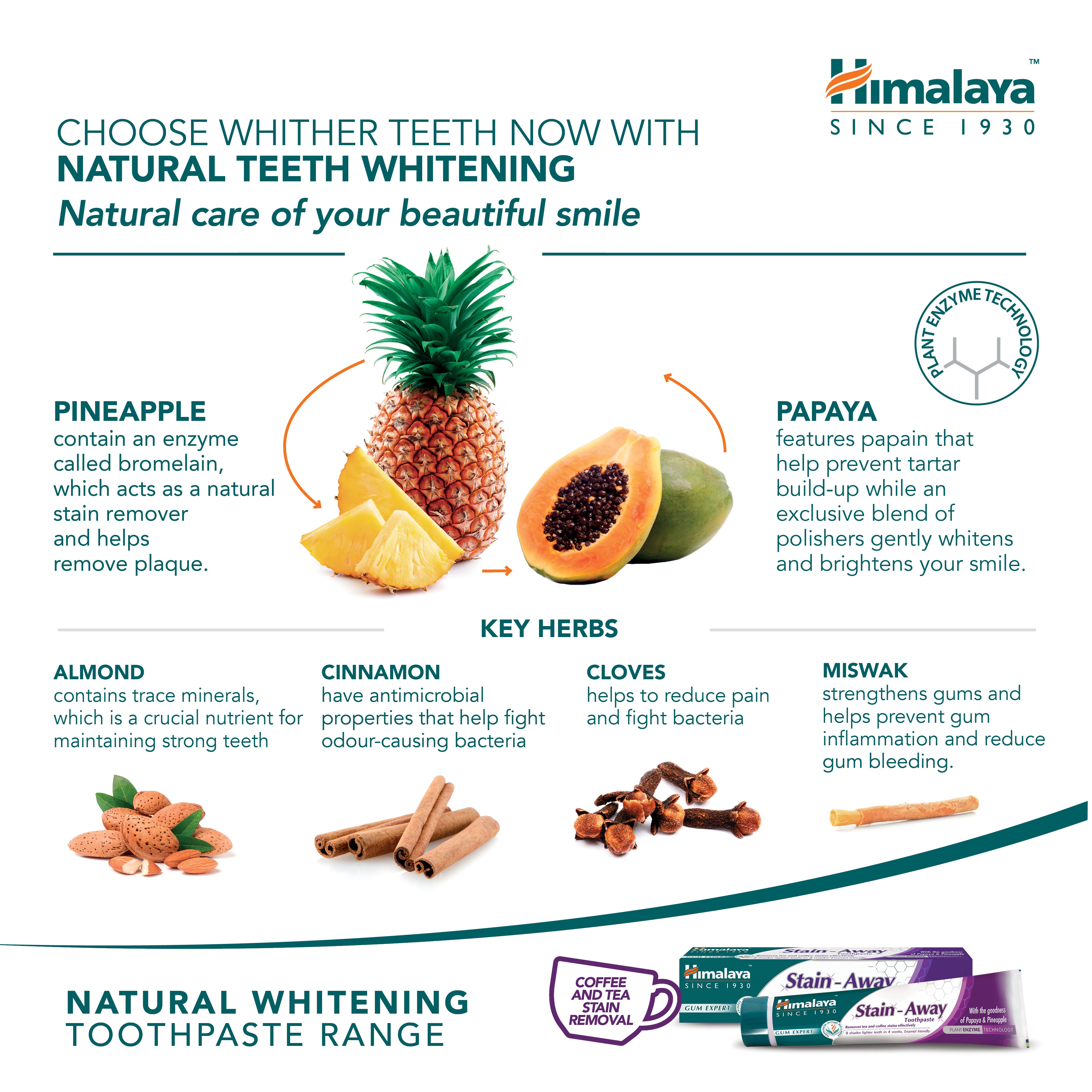 Himalaya Gum Expert Herbal Toothpaste - Stain Away - 75ml (Pack of 3)