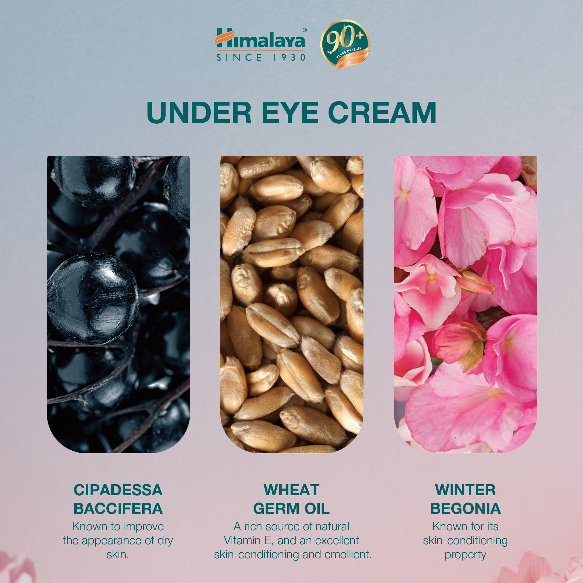 Himalaya Under Eye Cream - 15ml (Pack of 3)