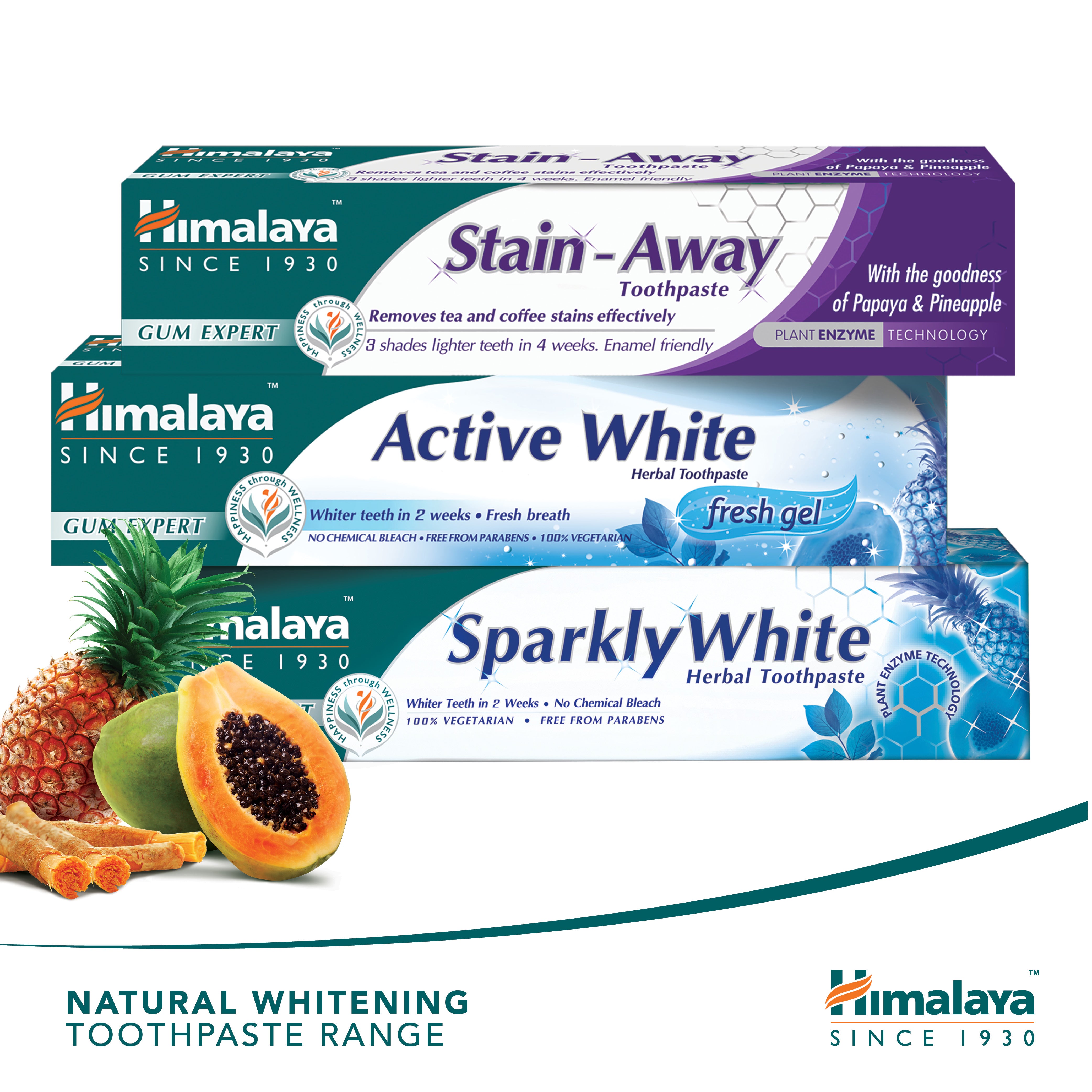 Himalaya Gum Expert Herbal Toothpaste - Stain Away - 75ml (Pack of 3)
