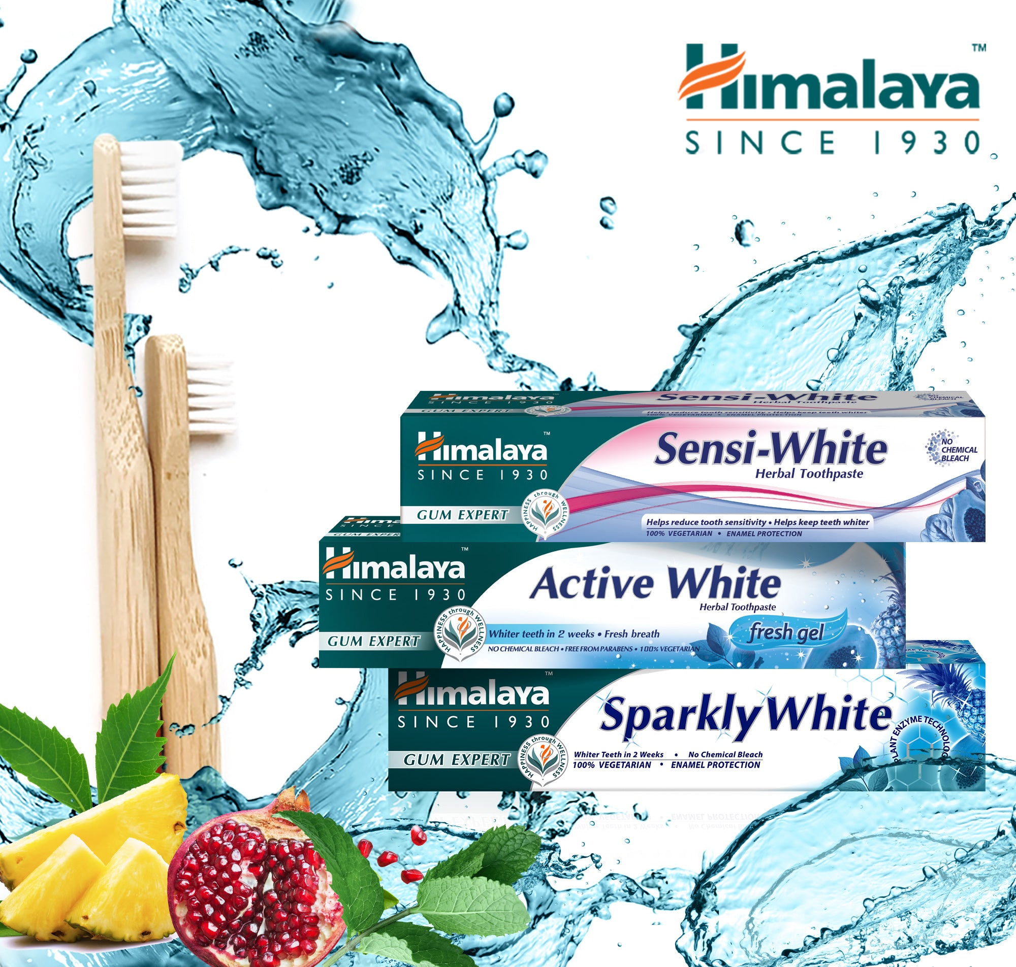 Himalaya Gum Expert Herbal Toothpaste - Sensi White - 75ml (Pack of 3)