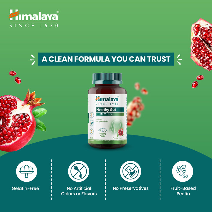 Himalaya Healthy Gut Gummies