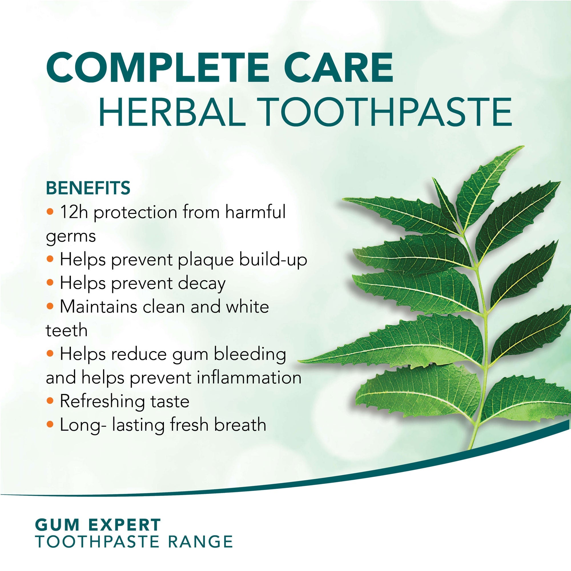 Himalaya Gum Expert Herbal Toothpaste - Complete Care - 75ml (Pack of 3)