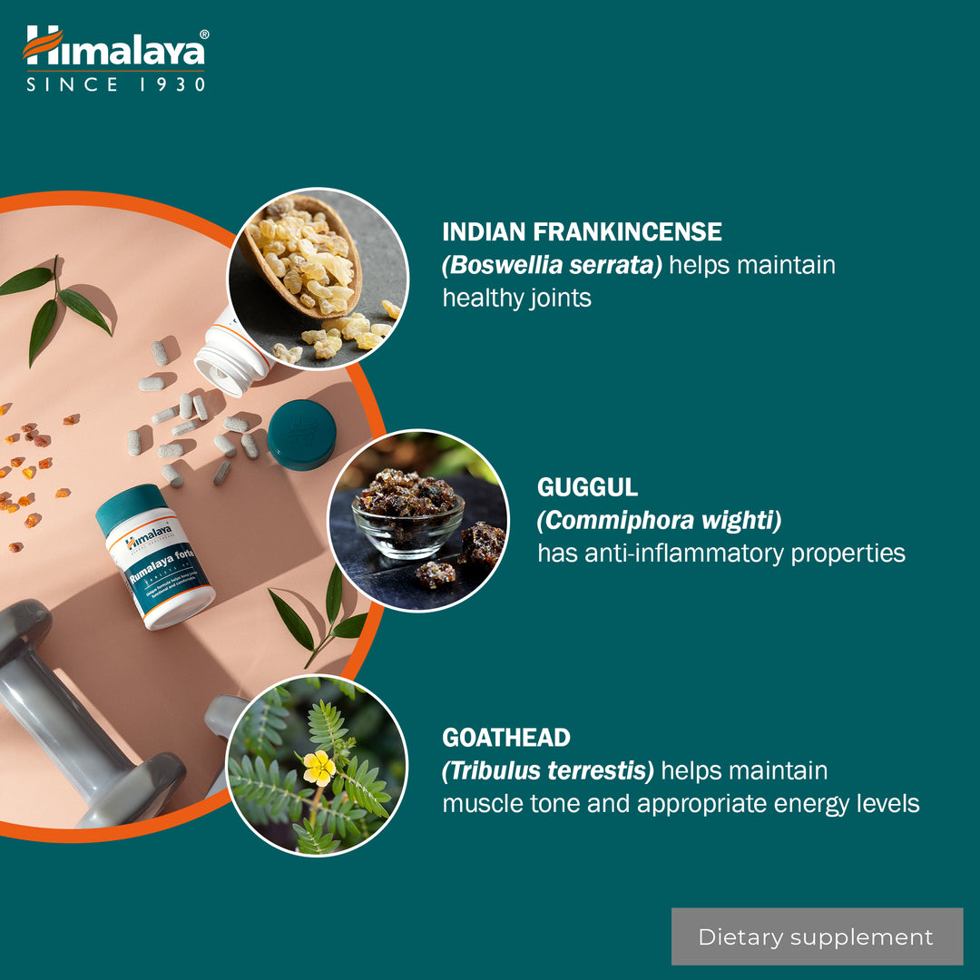 Himalaya Rumalaya forte - 60 Tablets