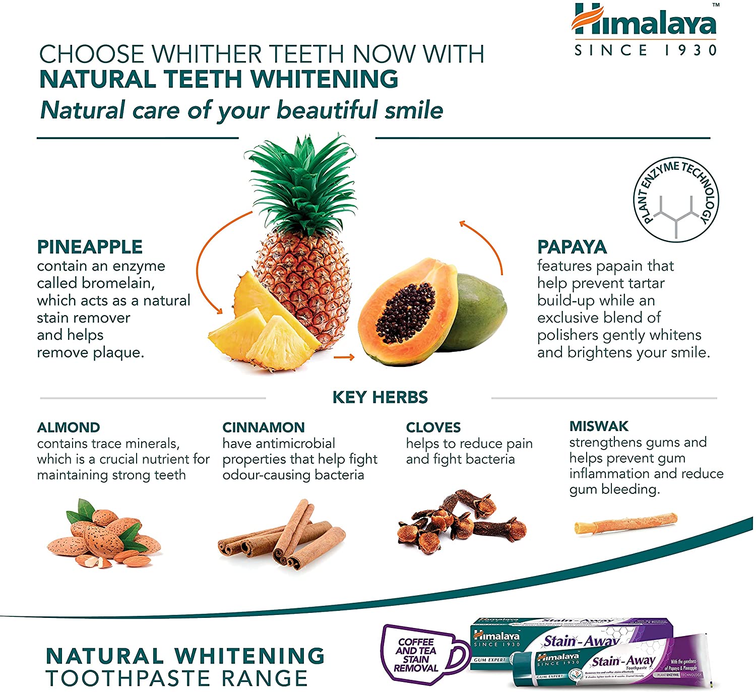 Himalaya Stain Away - Gum Expert Herbal Toothpaste - Key Herbs