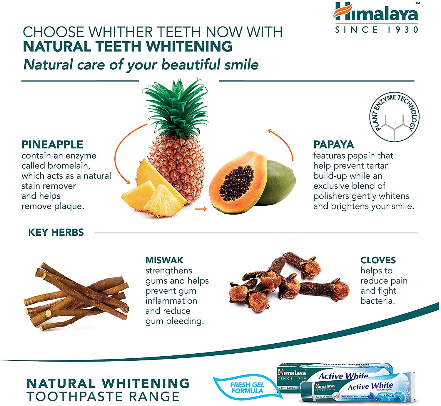 Gum Expert Herbal Toothpaste - Himalaya Active White Fresh Gel - Key Herbs