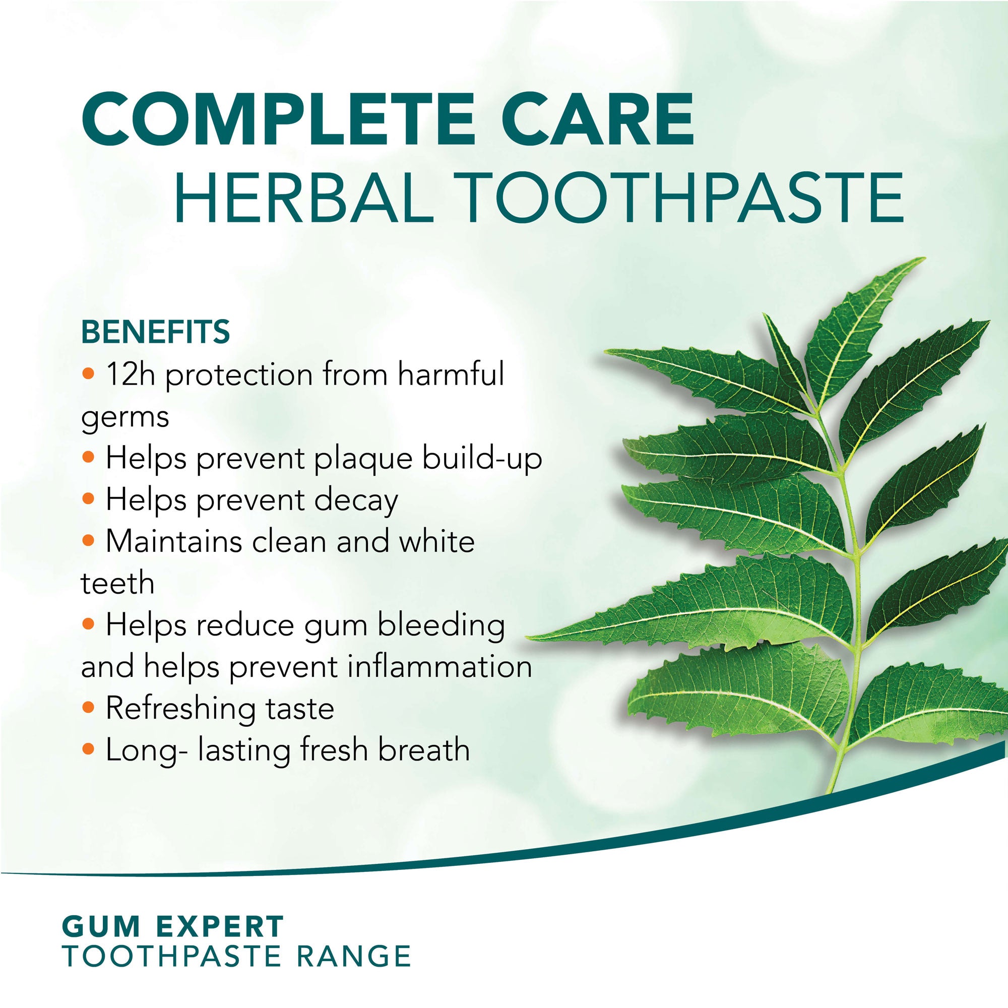 Himalaya Gum Expert Herbal Toothpaste - Complete Care - 75ml – Himalaya  Wellness (Europe)